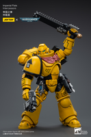 WARHAMMER Imperial Fists Intercessors (Reissue)