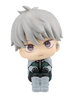 [Backorder] Lookup Reno Ichikawa