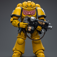 WARHAMMER Imperial Fists Intercessors (Reissue)