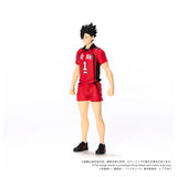 CK-H04 COLLEKAZARO Tetsuro Kuroo