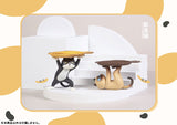 [Backorder] Ennoshitano Neko (Box of 6)