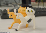 [Backorder] Ennoshitano Neko (Box of 6)