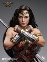 INART Batman v Superman Dawn of Justice Wonder Woman 1/6 Scale Figure