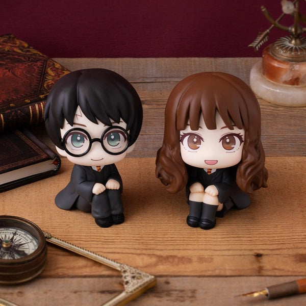 Lookup Harry Potter ＆ Hermione Granger (with gift)