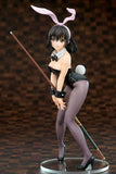 Strike the Blood Yukina Himeragi Bunny Girl Style