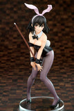 Strike the Blood Yukina Himeragi Bunny Girl Style