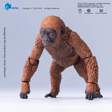 Godzilla x Kong The New Empire Mothra Premium Set Action Figure