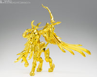 SAGITTARIUS SEIYA -INHERITOR OF THE GOLD CLOTH- "SAINT SEIYA" SAINT CLOTH MYTH EX