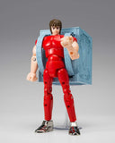 Saint Cloth Series Pegasus Cloth [First Bronze Cloth] - Cloth Box Limited Edition - "Saint Seiya" Saint Cloth Myth