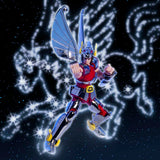 Saint Cloth Series Pegasus Cloth [First Bronze Cloth] - Cloth Box Limited Edition - "Saint Seiya" Saint Cloth Myth