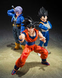 Vegeta <Z Fighters> "Dragon Ball Z" S.H.Figuarts