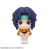 Lookup Seiichi Yukimura