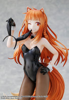 Spice and Wolf MERCHANT MEETS THE WISE WOLF Holo Light Novel Bunny Ver.