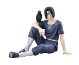 G.E.M. Series Palm Size Itachi