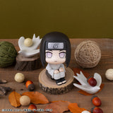 Lookup Rock Lee & Neji Hyuga (with gift)