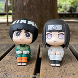 Lookup Rock Lee & Neji Hyuga (with gift)