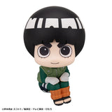 Lookup Rock Lee & Neji Hyuga (with gift)