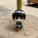 Lookup Rock Lee & Neji Hyuga (with gift)