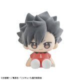 Nuippo Haikyu! (set of 6)
