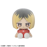 Nuippo Haikyu! (set of 6)