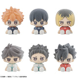 Nuippo Haikyu! (set of 6)