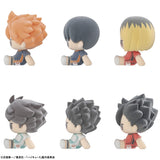 Nuippo Haikyu! (set of 6)