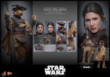 LEIA ORGANA (BOUSHH DISGUISE) 1:6 SCALE FIGURE