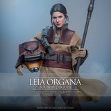 LEIA ORGANA (BOUSHH DISGUISE) 1:6 SCALE FIGURE