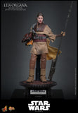 LEIA ORGANA (BOUSHH DISGUISE) 1:6 SCALE FIGURE