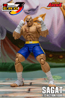 Storm Arena: Street Fighter Alpha 3 - Sagat 1/12 Scale Action Figure
