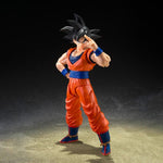 Son Goku (The Kind-Hearted Saiyan) "Dragon Ball Z" S.H.Figuarts