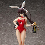 FREEing IS Houki Shinonono: Bare Leg Bunny Ver.