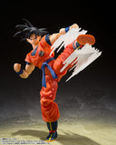 Son Goku's Effect Parts Set "Dragon Ball Z" S.H.Figuarts