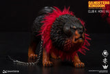 Tibetan Mastiff 1/6