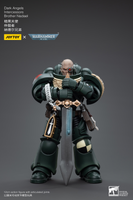 WARHAMMER 40K Dark Angels Intercessors Brother Nadael