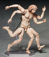 Figma SP-075 Vitruvian Man (2nd re-run)