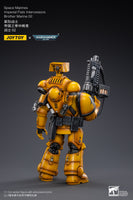 WARHAMMER 40K Imperial Fists Intercessors Brother Marine 02