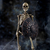 Coomodel The Human Skeleton (Diecast Alloy) 1/6 Scale